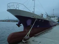 General Cargo/Multi-purpose на продажу