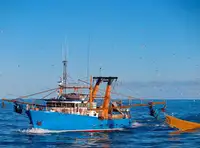 Trawler на продажу