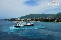Паром на продажу