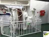Судно типа «Ро-Ро» на продажу