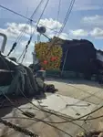Тральник с тралом-кошельком на продажу