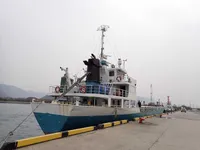 General Cargo/Multi-purpose на продажу
