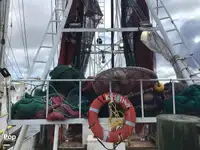 Траулер на продажу