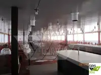 Круизное судно на продажу