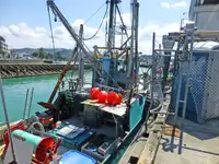Trawler на продажу