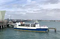 Паром на продажу