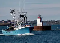 Purse seiner на продажу