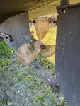 Рабочие суда на продажу