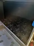 Круизное судно на продажу