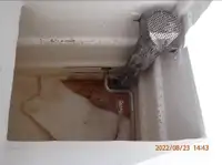 Тральник с тралом-кошельком на продажу