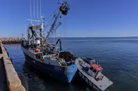 Тральник с тралом-кошельком на продажу