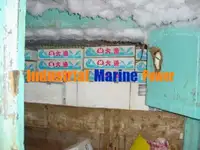 Яружный траулер на продажу