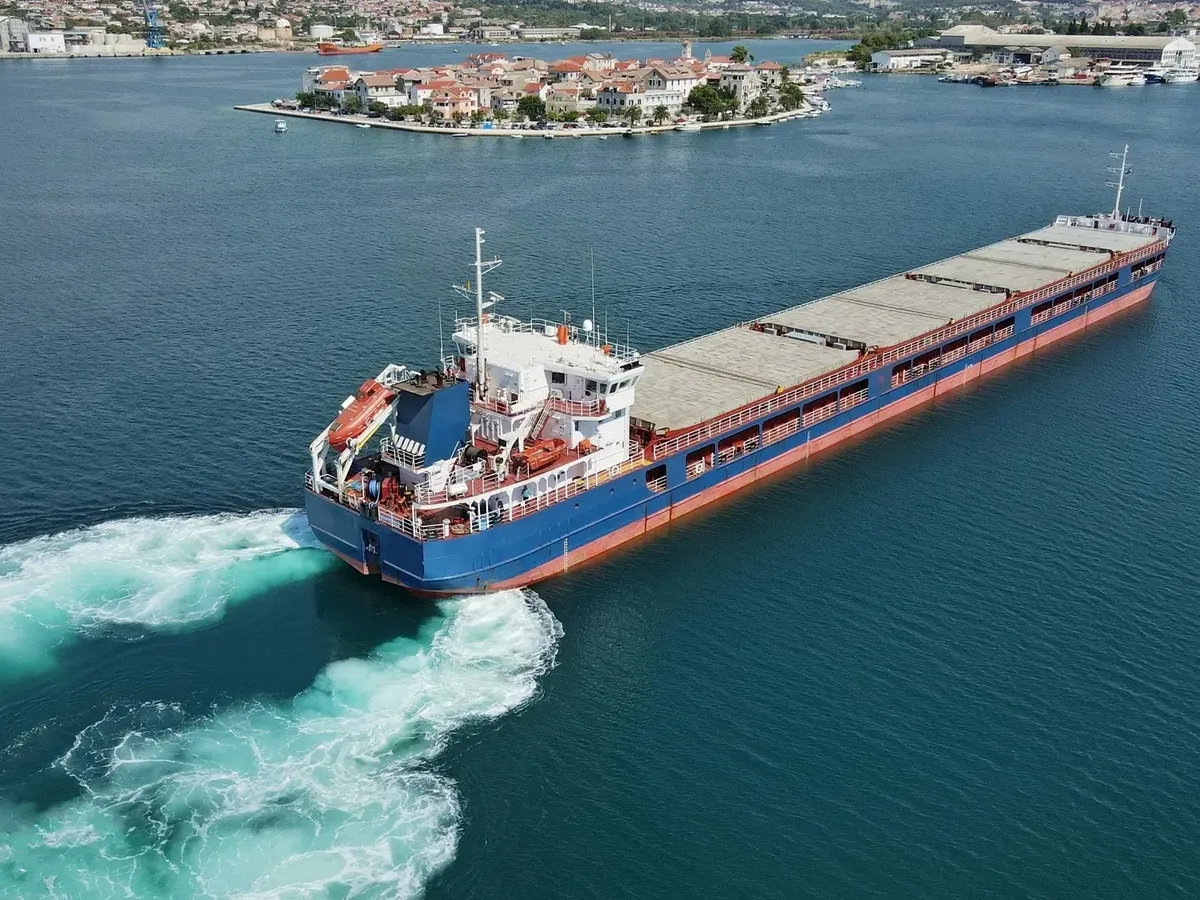 General Cargo/Multi-purpose на продажу