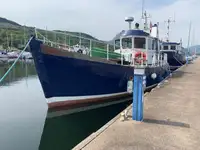Пилотное судно на продажу