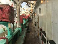 Судно для ловли кальмаров на продажу