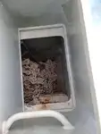 Паром на продажу