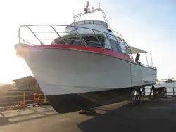 Буксир для перевозки экипажа на продажу
