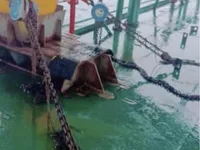 Баржа на продажу