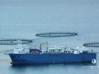 Рефрижераторное судно на продажу