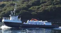 Рабочие суда на продажу