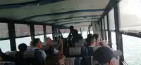 Амфибия на продажу