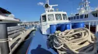 Патрульный катер на продажу