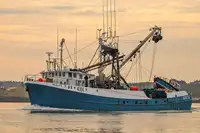 Purse seiner на продажу