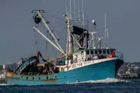 Purse seiner на продажу