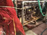 Траулер на продажу