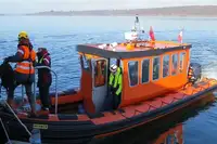 Жесткая надувная лодка на продажу