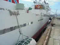 Патрульный катер на продажу