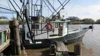 Trawler на продажу