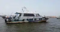 Пилотное судно на продажу