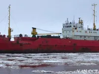 Рефрижераторное судно на продажу