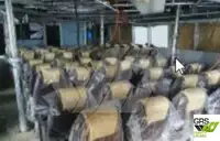 Пассажирское судно на продажу