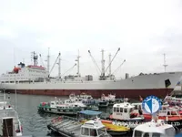 Рефрижераторное судно на продажу