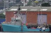 Trawler на продажу