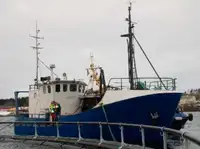 Trawler на продажу