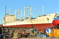 Рефрижераторное судно на продажу