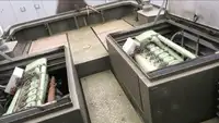 Буксир на продажу