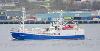 Purse seiner на продажу