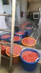 Траулер с тралом-бимом на продажу