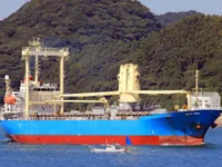 General Cargo/Multi-purpose на продажу