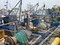 Судно для перевозки живой рыбы на продажу