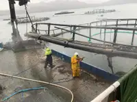 Рабочие суда на продажу