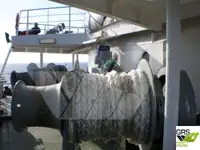 Судно типа «Ро-Ро» на продажу
