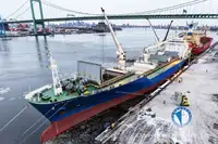 Рефрижераторное судно на продажу