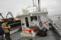 Пилотное судно на продажу