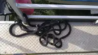 Контейнеровоз на продажу