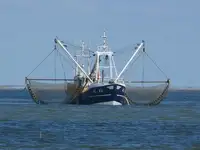 Trawler на продажу